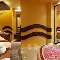 Luxury Property