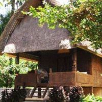 Luxury Property